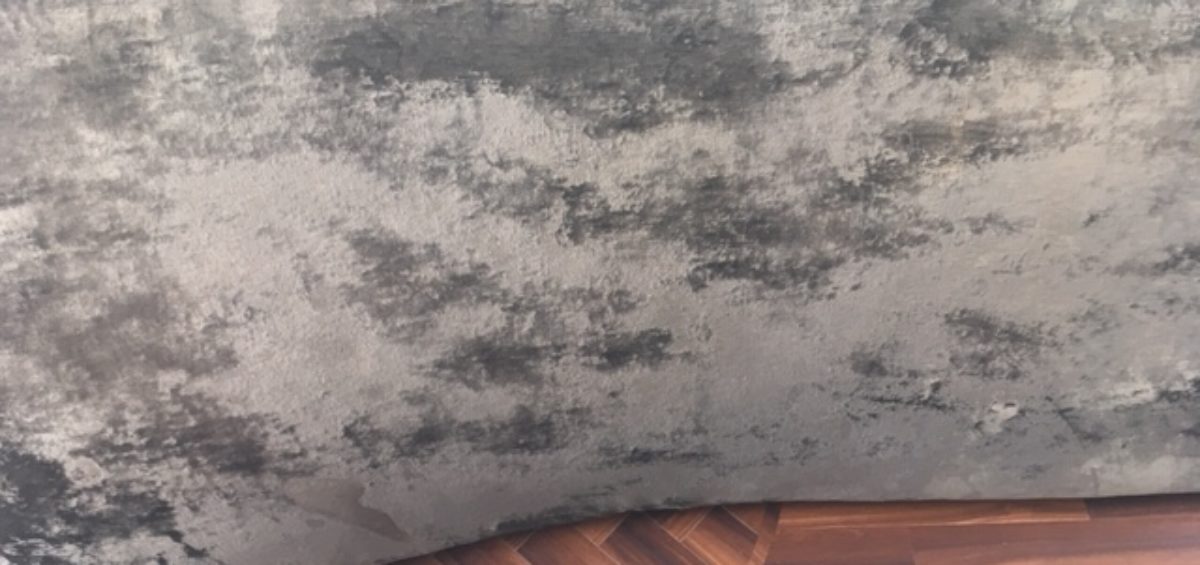 Sofa Damaged From Carpet Cleaning